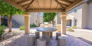 Palm Desert Gallery 13