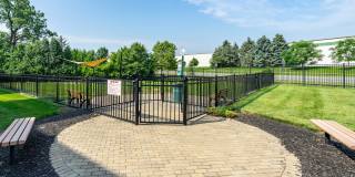 The Greyson Gallery 47