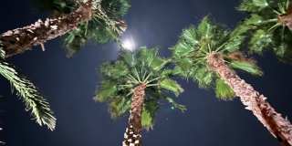 Single Story w/ Pool and Spa - Pool Service Inc. 8/1 move in Gallery 23