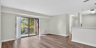 The Cloisters Gallery 8