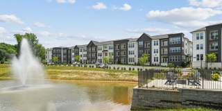 Connery on Providence 55+ Connery on Providence 55+ Gallery 60