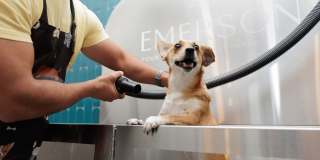 The Emerson Gallery 25