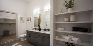 Solis Gainesville Gallery 5