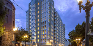 The Gossamer Gallery 1