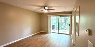 1851 Trailwood Heights Lane Gallery 13