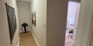 Walk to the Square! Walk to the Square! Gallery 11