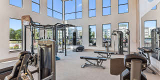 Mosby at Bridge Street Gallery 17