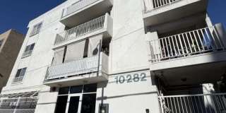 10282 Tujunga Canyon Blvd Gallery 1
