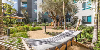 Vita Apartment Homes Gallery 35