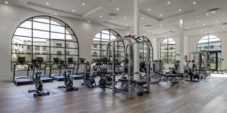 Vineyards Gallery 81