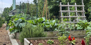 Lexington Farms Gallery 29