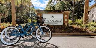 The Avenues at Verdier Pointe The Avenues at Verdier Pointe Gallery 27