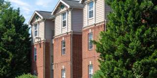 Attain on 5th Gallery 14