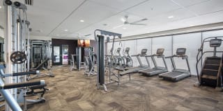 The Glenn Gallery 14