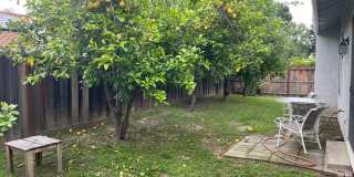3br/2ba Home on corner lot Gallery 44
