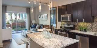 One Lakes Edge Gallery 11