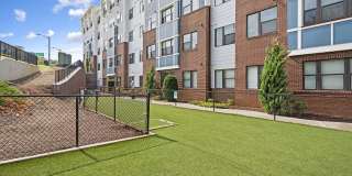 303 Flats Gallery 19