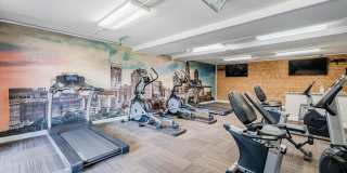 Selwyn Flats Gallery 14
