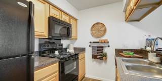 TGM Meadow View Gallery 17