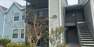 ** Move in Special HALF off your first months rent** NEWLY renovated 2 bedroom/1 bath condo in Casselberry!! Gallery 1
