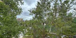 Beautifully Remodeled Apartment Home with Washer/Dryer in-Unit and Luxury Finishes! Gallery 116