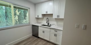 The Chloe Apartments Gallery 4