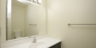 Hudson Pointe Gallery 4