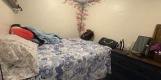 14 Wait St. Gallery 4