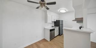 ReNew Pinehurst Gallery 16