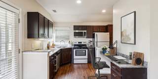 Austin Springs Gallery 6