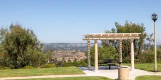 Windridge Gallery 31