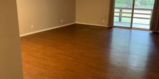 Charming townhome nestled in the heart of Hot Springs Village Gallery 4