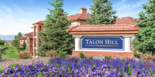Talon Hill Gallery 39