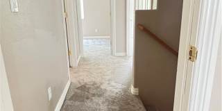 7709 Brilliant Forest Street Gallery 16