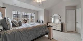 2545 Mountain Ash Circle Gallery 23