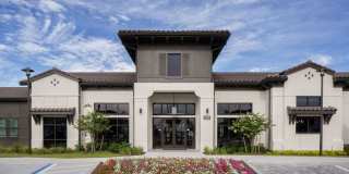 Las Palmas Gallery 1