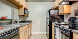 Four Mile Flats Gallery 10