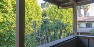 1066 San Pasqual St Apt 21 Gallery 11