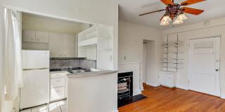 One Bedroom Apartment in Belhaven Gallery 5