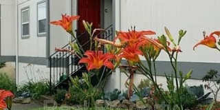 1171 16th Ave S Gallery 1