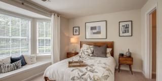 Cascades Overlook Gallery 19