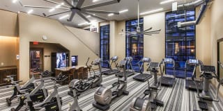 The Verdant The Verdant Gallery 13