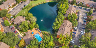 Turtle Lake Gallery 36