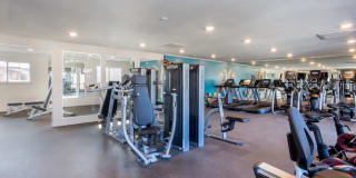 The Lennox Gallery 20