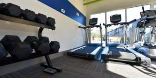 The Element Gallery 32