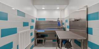 Legacy at Fitz Gallery 26