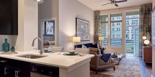 Evolution at Towne Centre Gallery 31