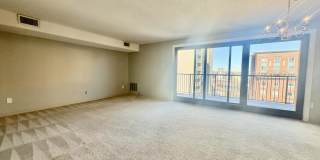 49 Marion St. 49 Marion St. Gallery 1