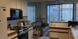 55456 Firestone Gallery 7