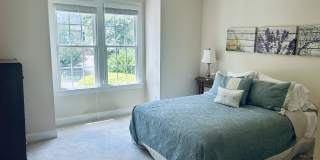 407 Chandler Grant Drive 407 Chandler Grant Drive Gallery 1
